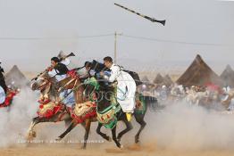 Image du Maroc Professionnelle de  Course typiquement marocaine dite ''la Fantasia'' organisé dans un site désertique sur lequel la ville de Tan Tan a toujours accueilli la majorité des tribus et des grandes familles nomades du désert lors d'un grand Moussem, Samedi 7 Septembre 2013. Le festival parrainé par l'UNESCO rassemble des milliers de nomades du Maroc. (Photo / Abdeljalil Bounhar) 